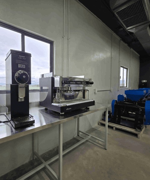 Equipo de planta piloto de café